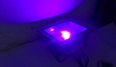 UV Floodlight 10w / 20w / 30w / 40w / 50w چراغ سیل چراغ در فضای باز برای مرحله