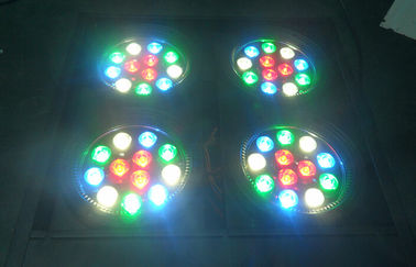رهبری مخاطب Dmx Blinder Light 4 چشم Rgbw DJ مرحله روشنایی حرفه ای نور