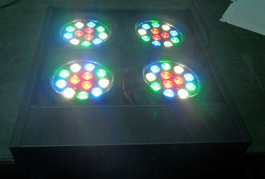 رهبری مخاطب Dmx Blinder Light 4 چشم Rgbw DJ مرحله روشنایی حرفه ای نور